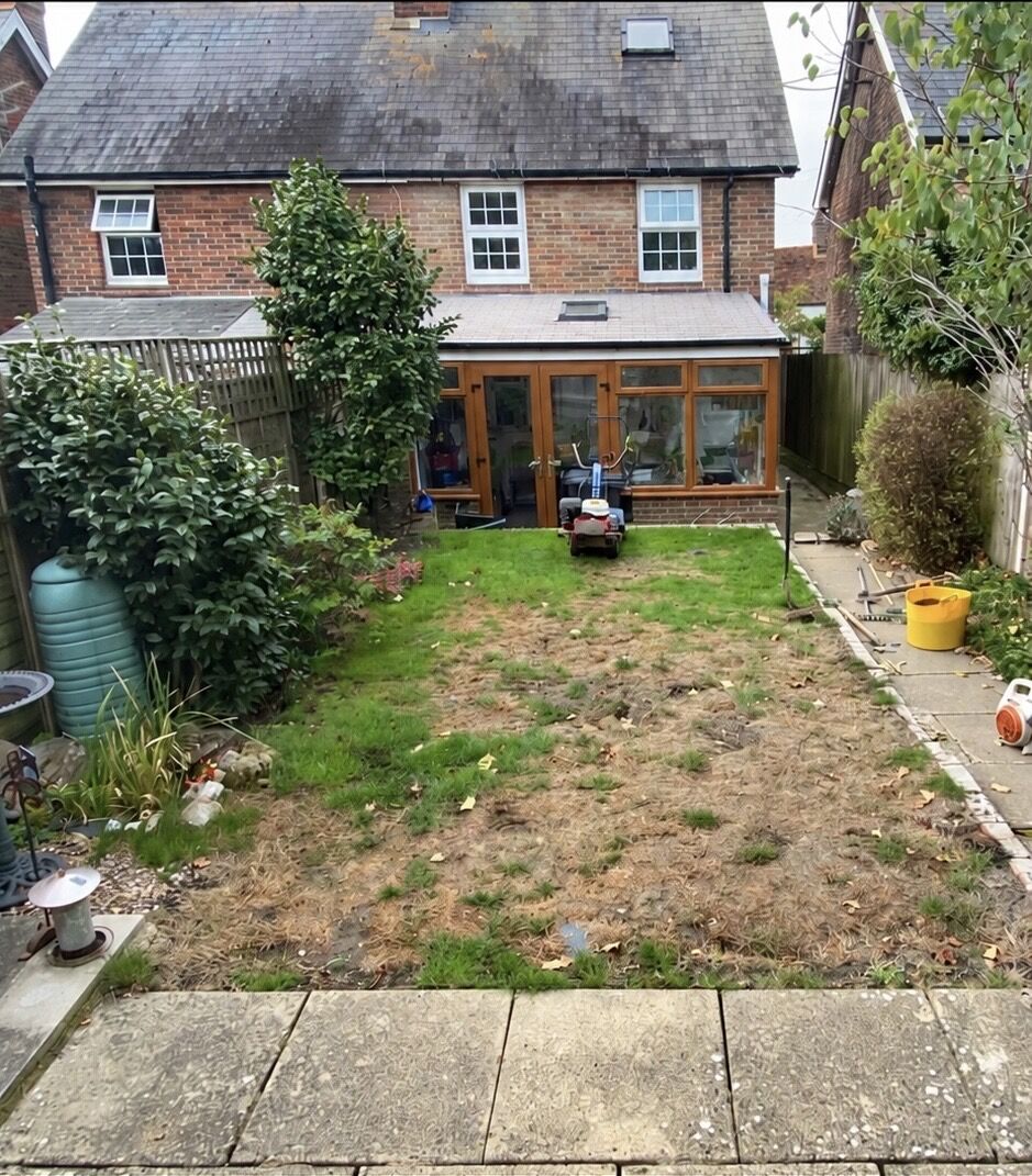 Small back garden with tired, patchy grass before any work began