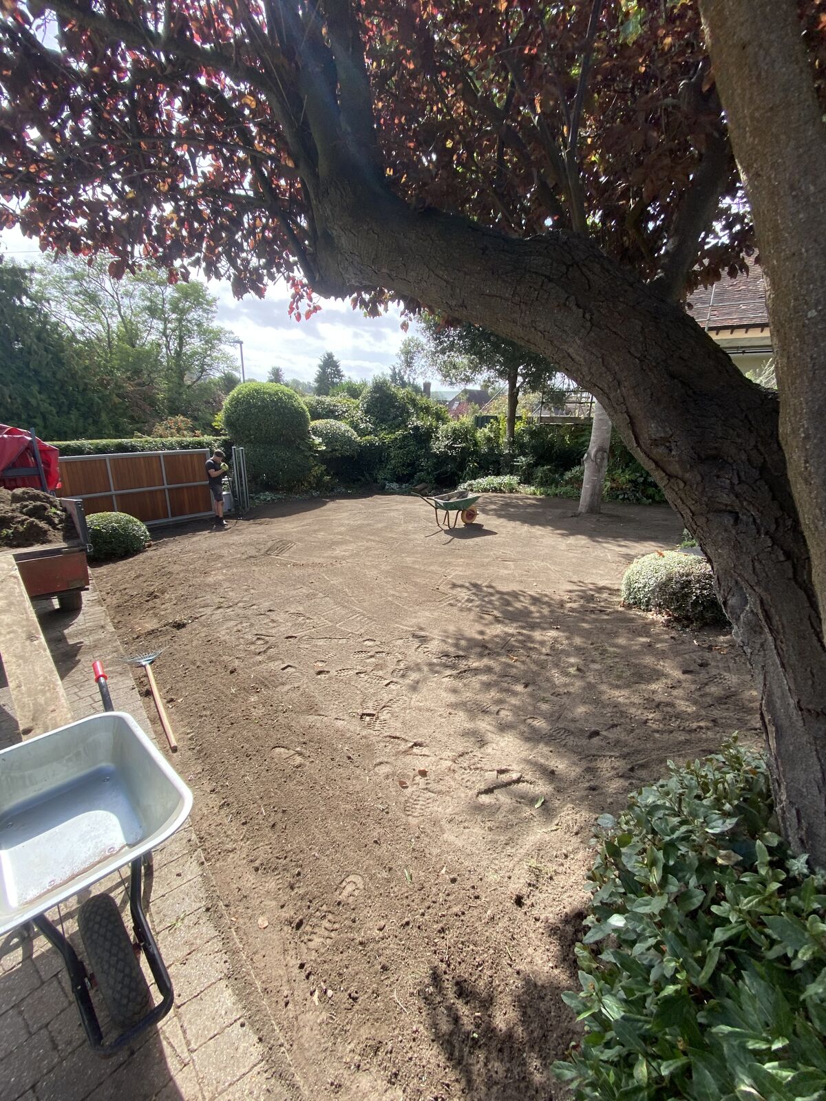 The same garden cleared to bare soil and levelled under the tree, ready for turfing