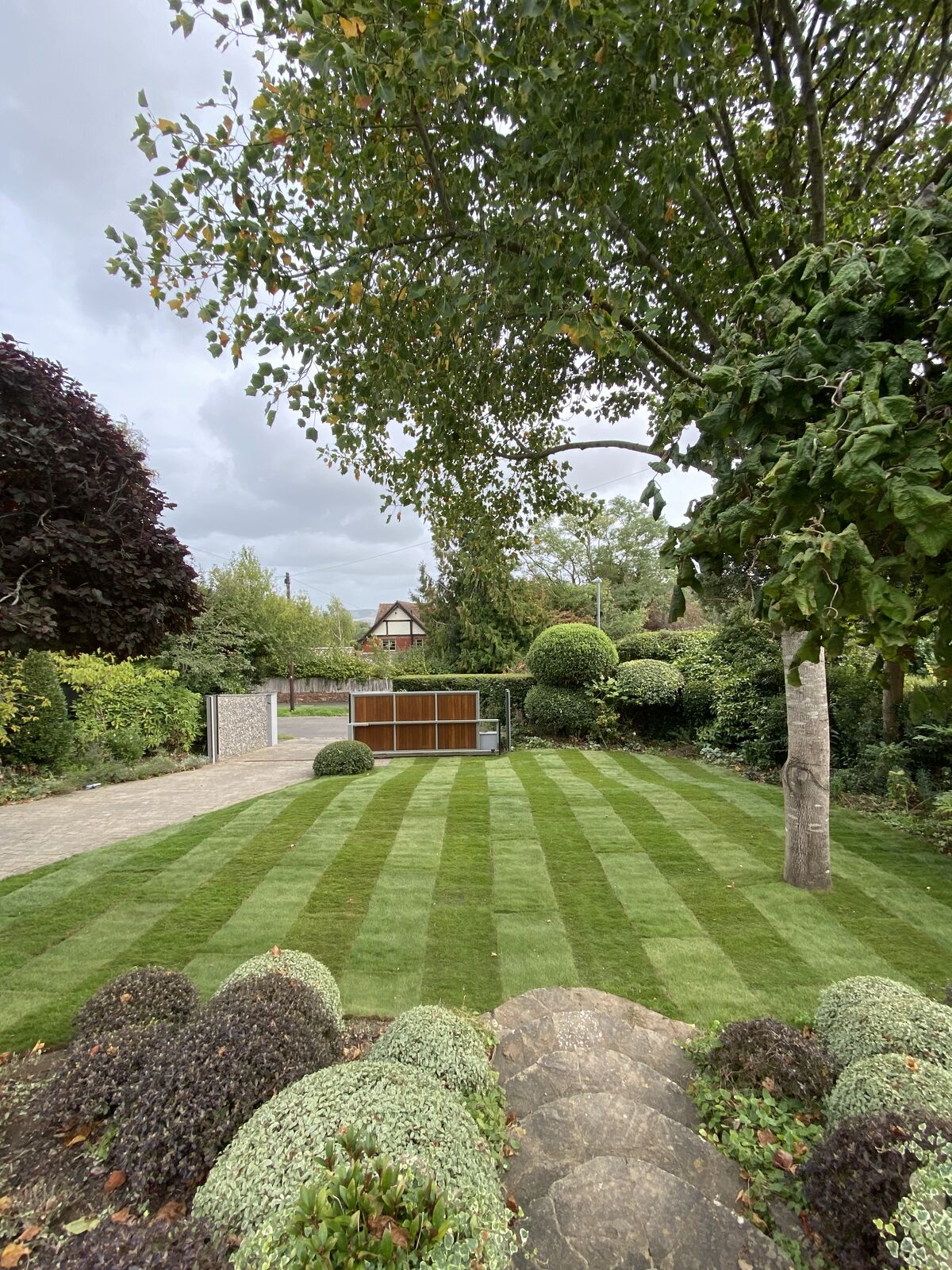 Wide view of a finished striped lawn framed by mature planting and topiary