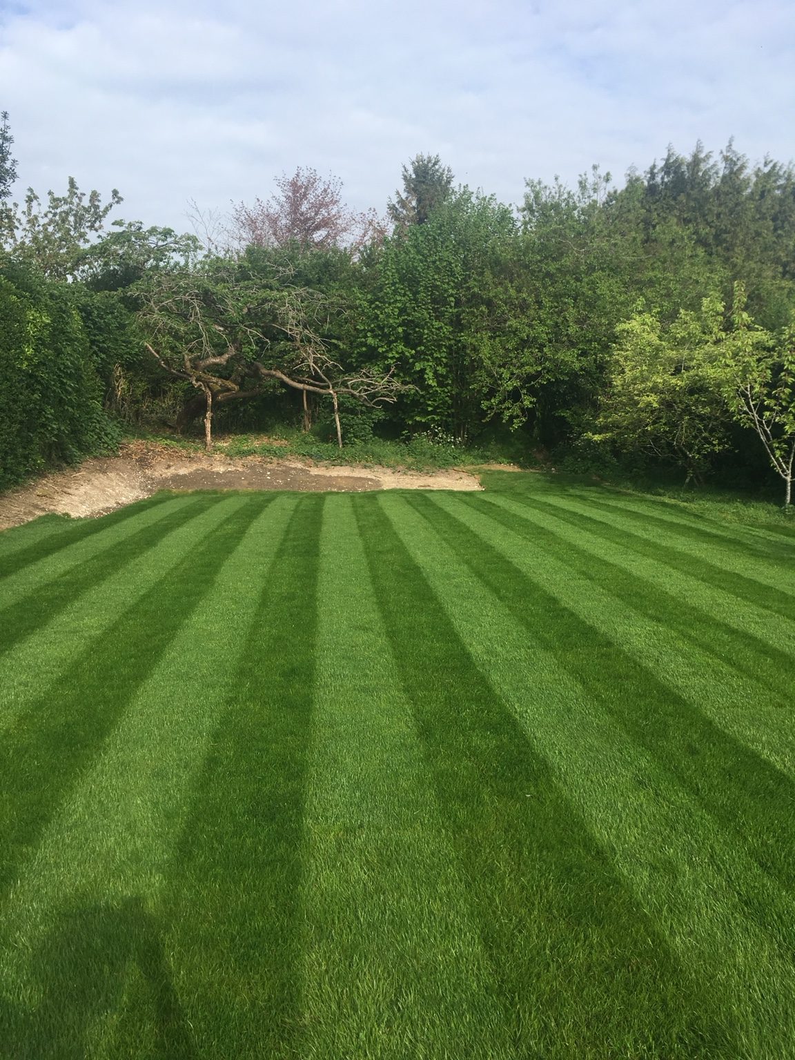 Fresh striped lawn installed by The Sussex Turfing Company